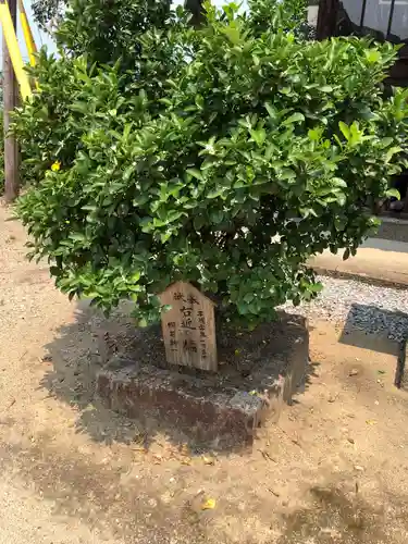 神前神社の自然