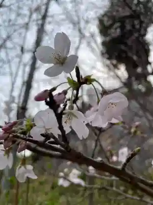 荷松院幸大寺(兵庫県)