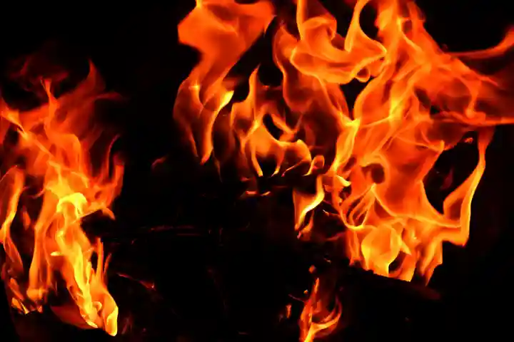 くまくま神社(導きの社 熊野町熊野神社)のお祭り