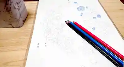 宗徳寺の体験その他