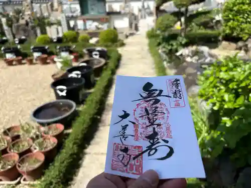 大善寺の御朱印