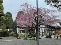 阿豆佐味天神社 立川水天宮(東京都)