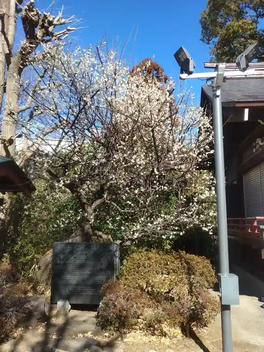堤方神社(東京都)