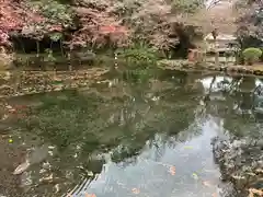 富士山本宮浅間大社(静岡県)