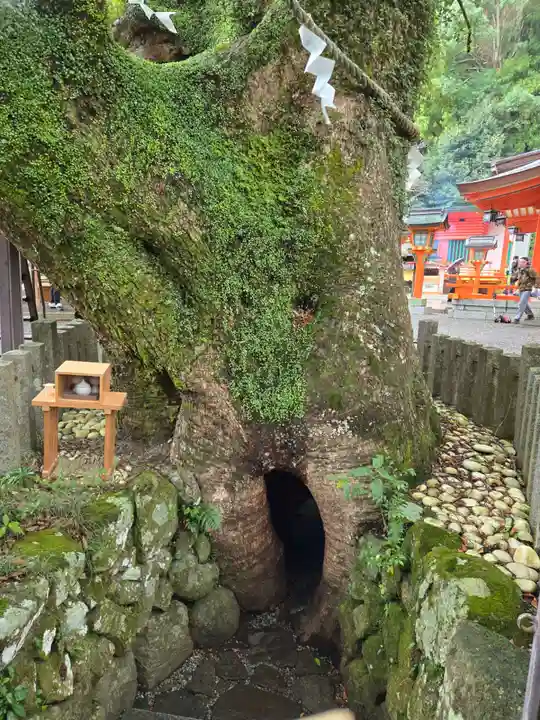 熊野那智大社(和歌山県)