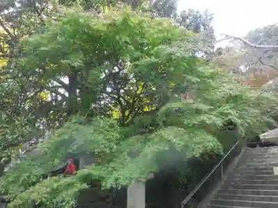 長勝寺のその他建物