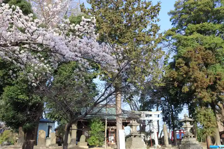 熊野福藏神社の自然