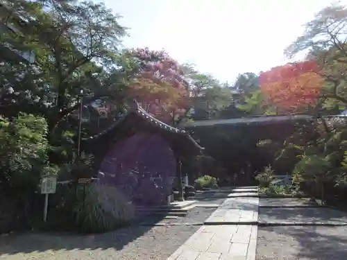 岡寺（龍蓋寺）のその他建物