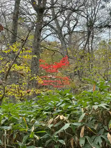 戸隠神社奥社(長野県)