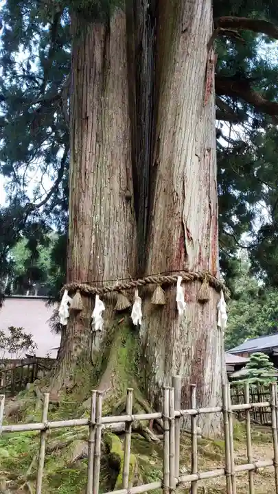 金剛三昧院のその他建物