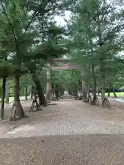 出雲大社の鳥居