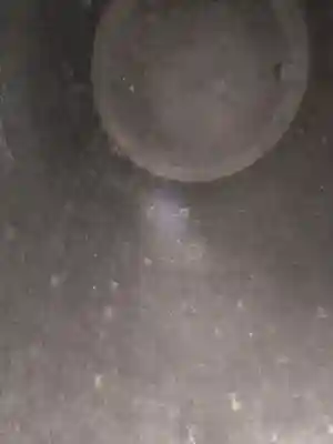 方広寺の{uncategorized: "未分類", other: "その他", undefined: "問題あり", building: "その他建物", grave: "お墓", sacred_gate: "鳥居", guardian: "狛犬", statue: "像", buddha: "仏像", history: "歴史", nature: "自然", garden: "庭園", animal: "動物", pagoda: "塔", temizu: "手水舎", mountain_gate: "山門・神門", sanctuary: "本殿・本堂", subordinate: "末社・摂社", art: "芸術", scenery: "景色", jizo: "地蔵", ema: "絵馬", goshuin: "御朱印", omikuji: "おみくじ", items: "授与品その他", amulet: "お守り", goshuincho: "御朱印帳", eats: "食事", festival: "お祭り", votive_dance: "神楽", shichigosan: "七五三参", wedding: "結婚式", experience: "体験その他", initially: "初詣", around: "周辺", anti_infection: "感染症対策"}