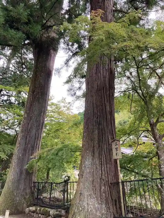 室生寺(奈良県)