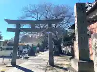 前玉神社の鳥居