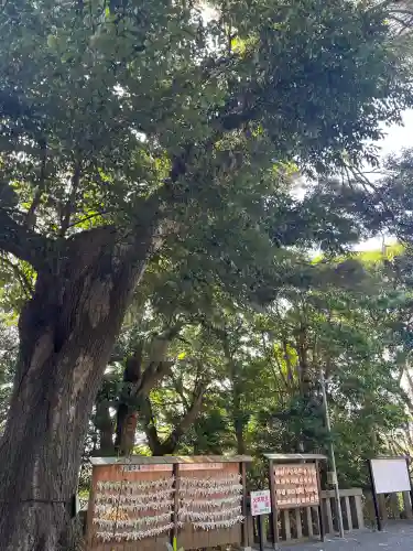 青木神社（笠間町）の{uncategorized: "未分類", other: "その他", undefined: "問題あり", building: "その他建物", grave: "お墓", sacred_gate: "鳥居", guardian: "狛犬", statue: "像", buddha: "仏像", history: "歴史", nature: "自然", garden: "庭園", animal: "動物", pagoda: "塔", temizu: "手水舎", mountain_gate: "山門・神門", sanctuary: "本殿・本堂", subordinate: "末社・摂社", art: "芸術", scenery: "景色", jizo: "地蔵", ema: "絵馬", goshuin: "御朱印", omikuji: "おみくじ", items: "授与品その他", amulet: "お守り", goshuincho: "御朱印帳", eats: "食事", festival: "お祭り", votive_dance: "神楽", shichigosan: "七五三参", wedding: "結婚式", experience: "体験その他", initially: "初詣", around: "周辺", anti_infection: "感染症対策"}