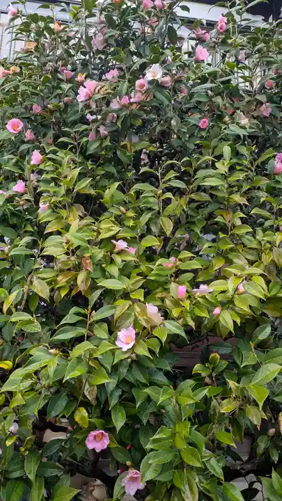 慈眼寺(京都府)