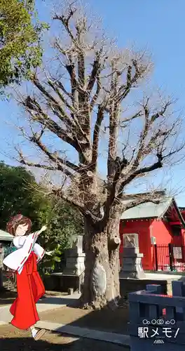 三谷稲荷神社の自然