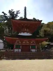 金剛寺(大阪府)