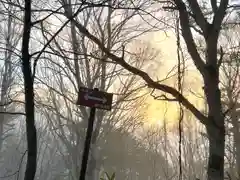 山家神社奥宮の自然