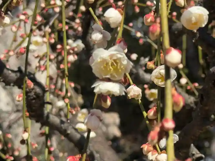 結城神社(三重県)