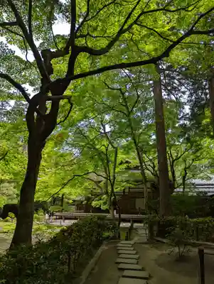 南禅院(京都府)