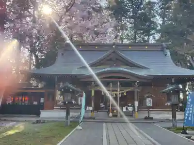 駒形神社の{uncategorized: "未分類", other: "その他", undefined: "問題あり", building: "その他建物", grave: "お墓", sacred_gate: "鳥居", guardian: "狛犬", statue: "像", buddha: "仏像", history: "歴史", nature: "自然", garden: "庭園", animal: "動物", pagoda: "塔", temizu: "手水舎", mountain_gate: "山門・神門", sanctuary: "本殿・本堂", subordinate: "末社・摂社", art: "芸術", scenery: "景色", jizo: "地蔵", ema: "絵馬", goshuin: "御朱印", omikuji: "おみくじ", items: "授与品その他", amulet: "お守り", goshuincho: "御朱印帳", eats: "食事", festival: "お祭り", votive_dance: "神楽", shichigosan: "七五三参", wedding: "結婚式", experience: "体験その他", initially: "初詣", around: "周辺", anti_infection: "感染症対策"}