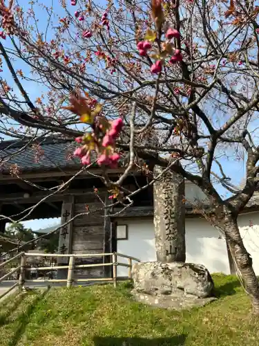 中尊寺の建物その他