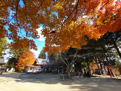正一位 若草稲荷神社の自然