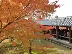 東福禅寺（東福寺）(京都府)