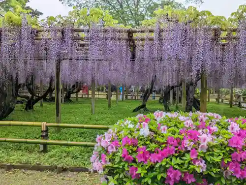 平等院(京都府)