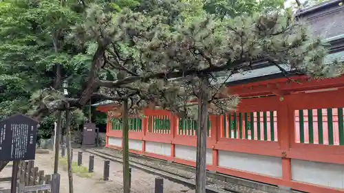荒熊白髭稲荷神社の自然