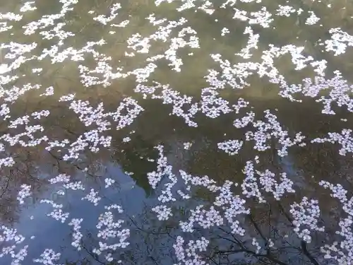 常照皇寺(京都府)