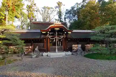 梅宮大社の本殿・本堂