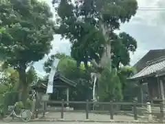 春日神社の建物その他