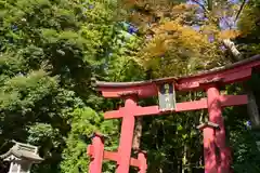 彌彦神社(新潟県)