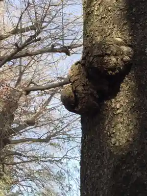 皇武神社(神奈川県)