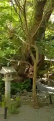 來宮神社(静岡県)