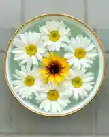 伊達神社の手水舎