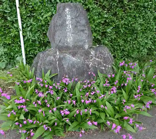 恩林寺の歴史