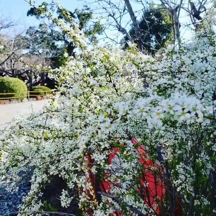 牛嶋天満宮の自然
