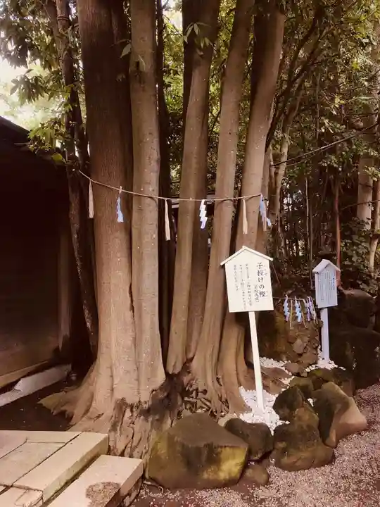 検見川神社の自然