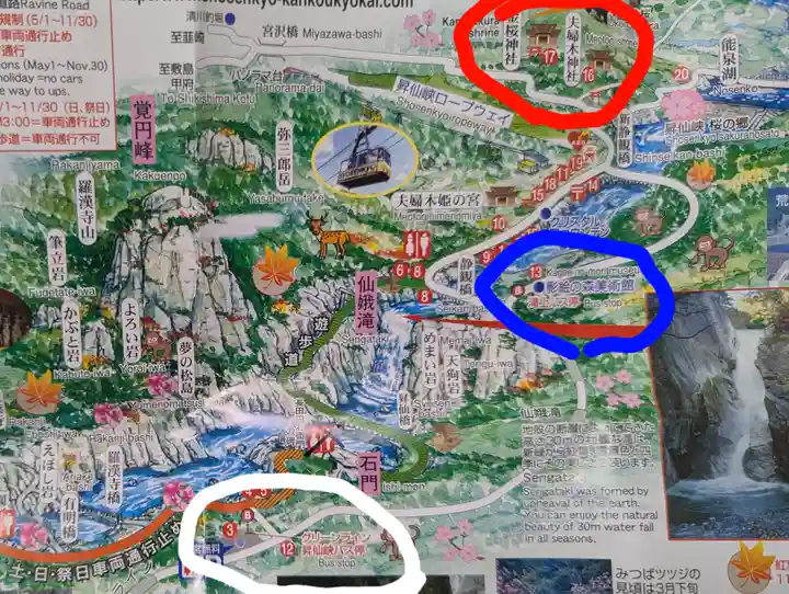 金櫻神社(山梨県)