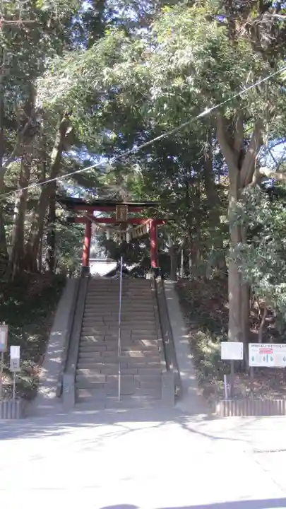 氷川女體神社(埼玉県)