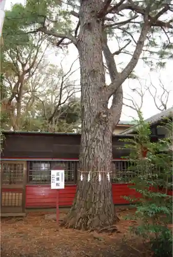 前原御嶽神社のその他建物
