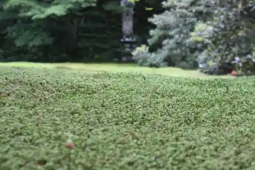 三千院門跡(京都府)