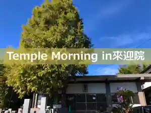 來迎院(熊本県)(2019年10月26日(土) 04時57分20秒投稿)