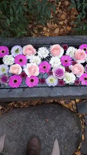 行田八幡神社の手水舎