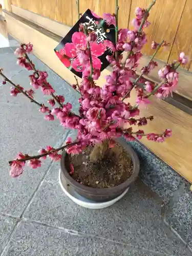 東光寺のその他建物