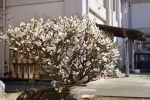 福王山 慈眼寺(東京都)(2026年01月19日(月) 13時00分40秒投稿)