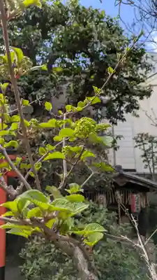 宝蔵寺(京都府)